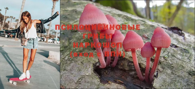 где купить наркоту  Карпинск  Псилоцибиновые грибы Cubensis 